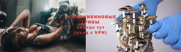 прущая мука Каменка