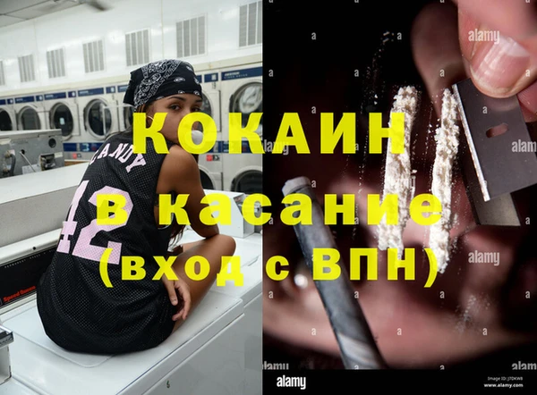 прущая мука Каменка
