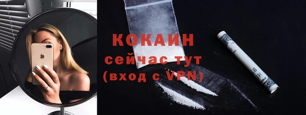 прущая мука Каменка