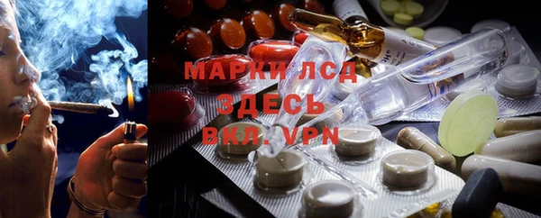 твердый Каменск-Шахтинский