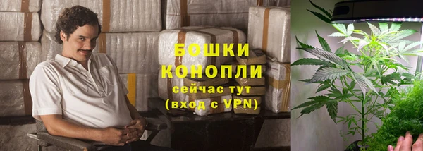 ПСИЛОЦИБИНОВЫЕ ГРИБЫ Каменногорск