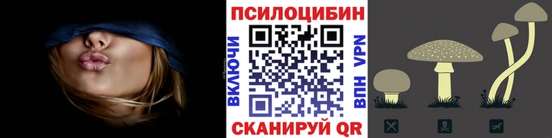 Псилоцибиновые грибы Cubensis  хочу   Жуковский 